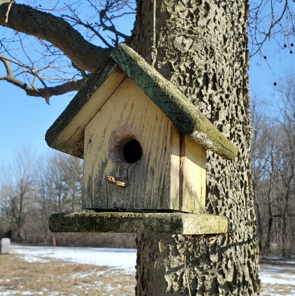 Meet your Posher, David - Picture 1 of 1